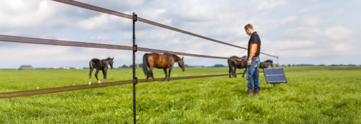 Geelink Ijzerwaren - gallagher