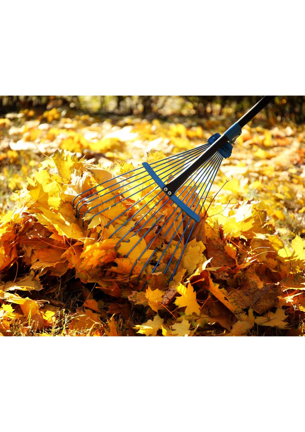 Geelink Ijzerwaren - paars_zwart_eenvoudig_leeg_pagina_document_a4_(4)